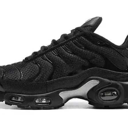 Nike Air Max Plus (19 colores)